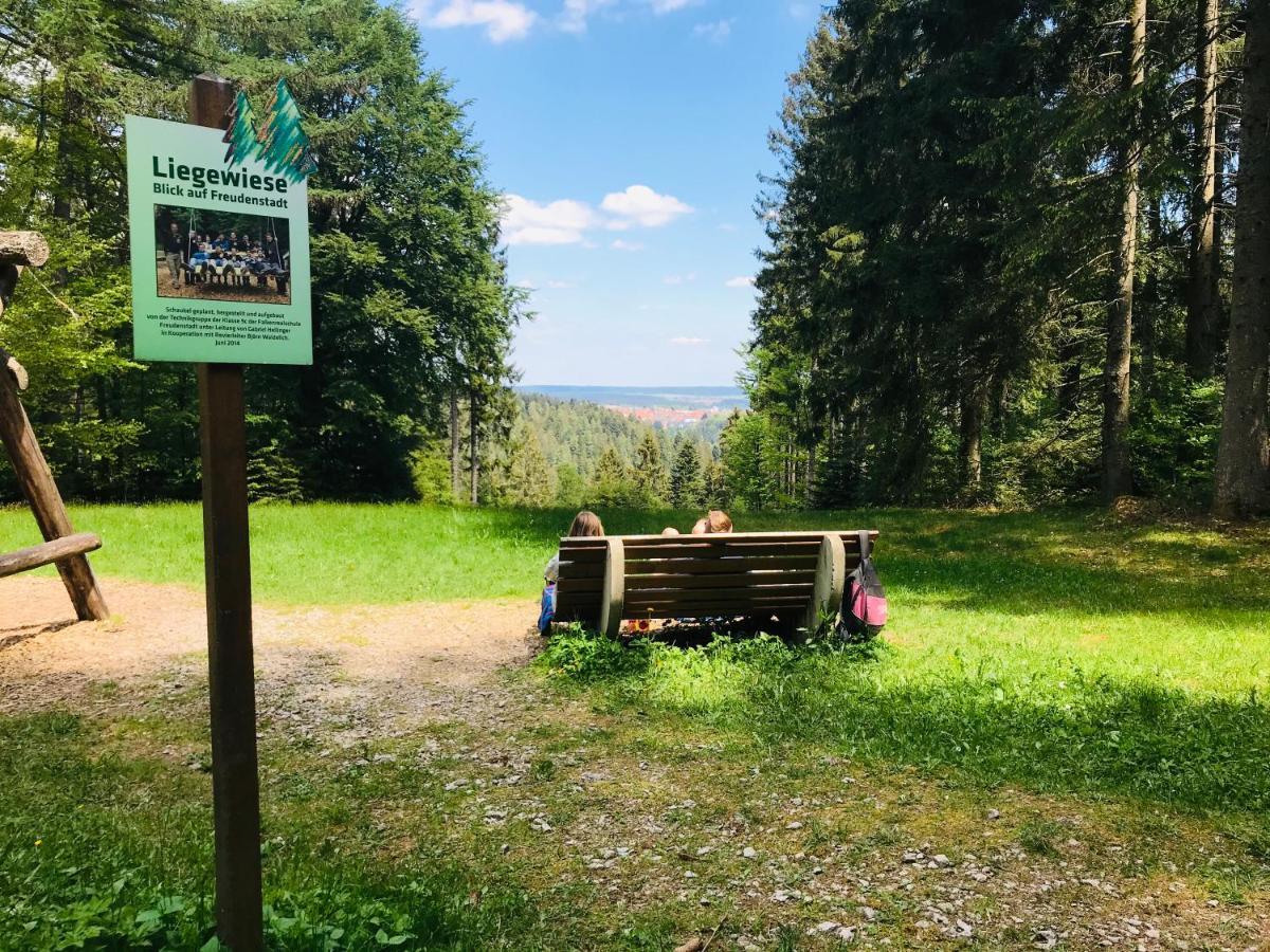 Haus Jenni Im Schwarzwald, 3,5-Zimmer, Grosse Terrasse Φρόιντενσταντ Εξωτερικό φωτογραφία