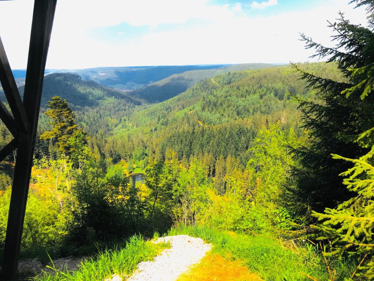 Haus Jenni Im Schwarzwald, 3,5-Zimmer, Grosse Terrasse Φρόιντενσταντ Εξωτερικό φωτογραφία
