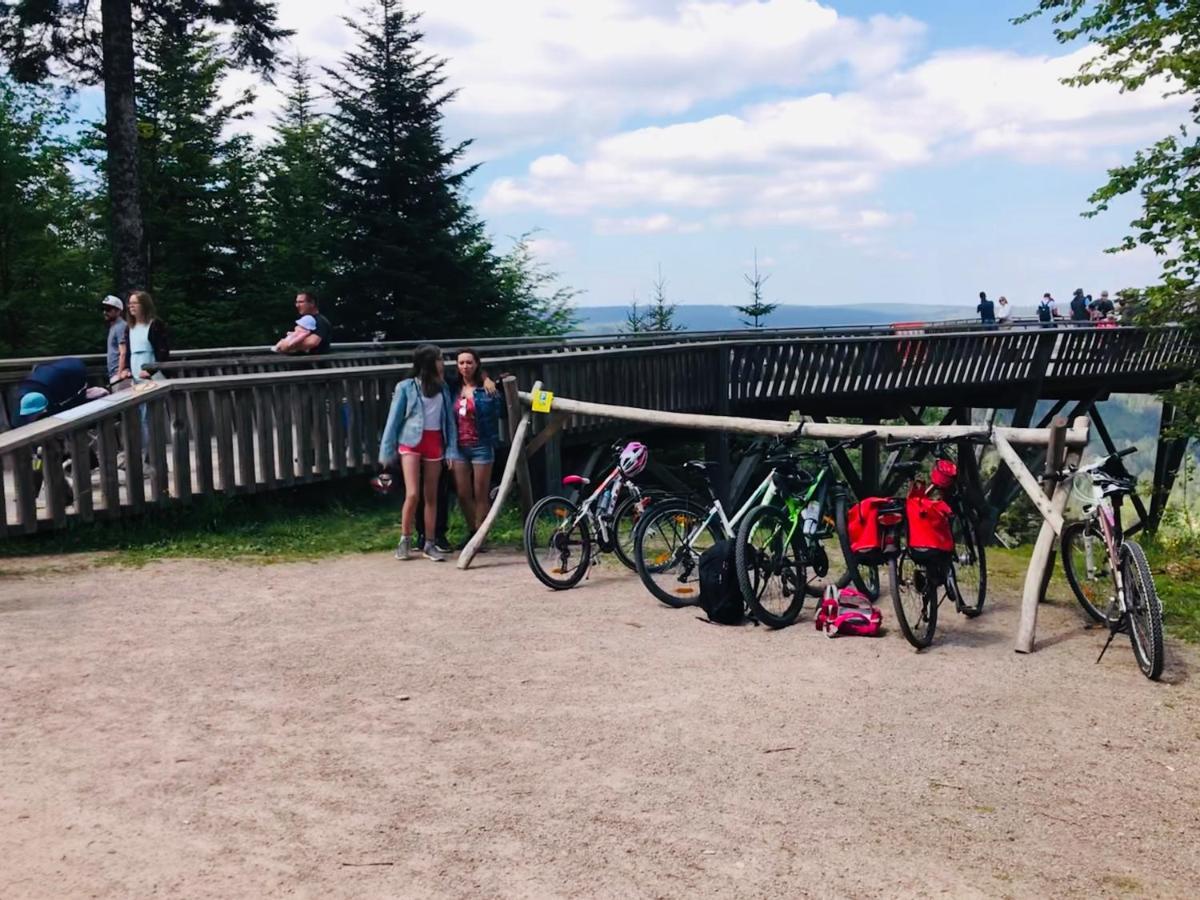 Haus Jenni Im Schwarzwald, 3,5-Zimmer, Grosse Terrasse Φρόιντενσταντ Εξωτερικό φωτογραφία