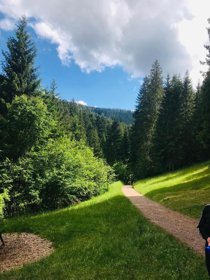 Haus Jenni Im Schwarzwald, 3,5-Zimmer, Grosse Terrasse Φρόιντενσταντ Εξωτερικό φωτογραφία